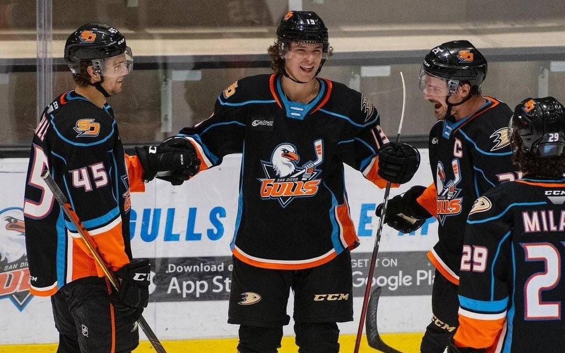 San Diego Gulls (@sdgullsahl) • Instagram photos and videos