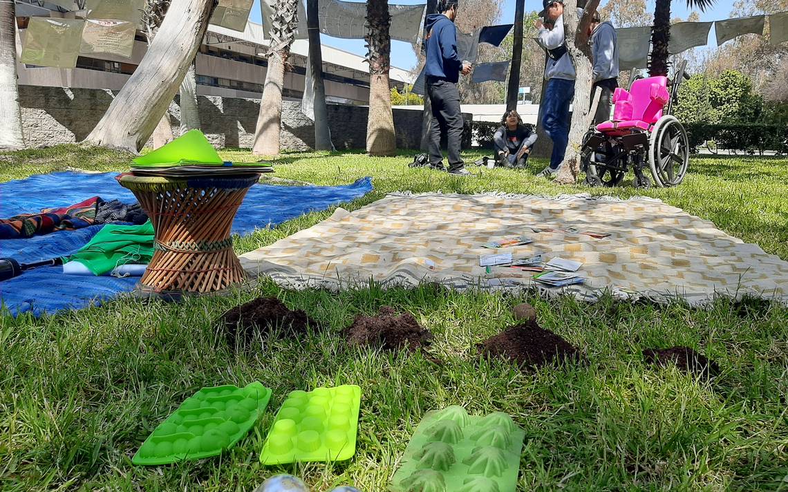 Reforesta Grupo El Parque B. Juárez - El Sol De Tijuana | Noticias ...