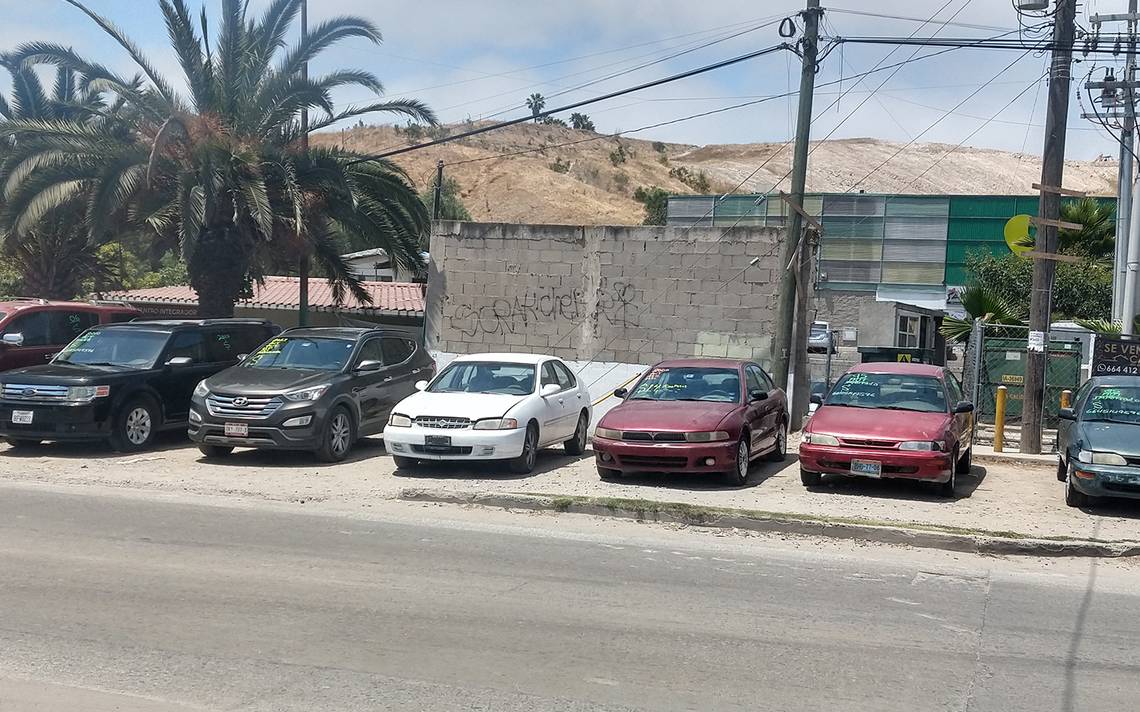 Claudia Sheinbaum podría seguir regularizando autos “chocolate”: Concanaco  - El Sol de Tijuana | Noticias Locales, Policiacas, sobre México, Baja  California y el Mundo