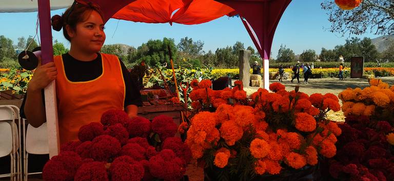 Flores para los muertos… y para los vivos - El Sol de Tijuana | Noticias  Locales, Policiacas, sobre México, Baja California y el Mundo