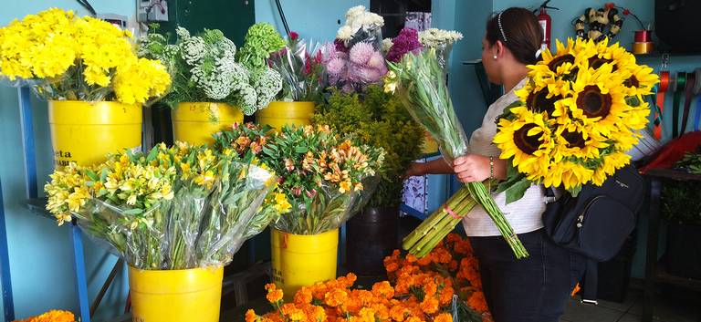 Flores para los muertos… y para los vivos - El Sol de Tijuana | Noticias  Locales, Policiacas, sobre México, Baja California y el Mundo