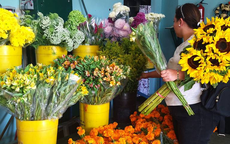 Flores para los muertos… y para los vivos - El Sol de Tijuana | Noticias  Locales, Policiacas, sobre México, Baja California y el Mundo